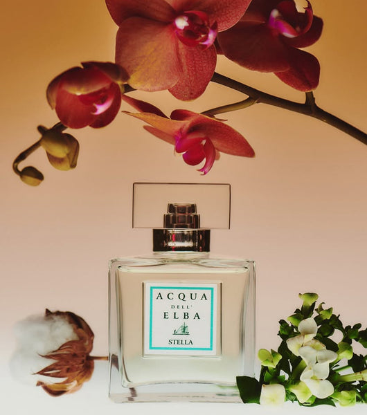 ACQUA DELL’ELBA STELLA EDP